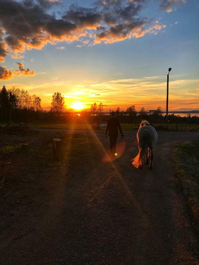 Det Gamla Panget