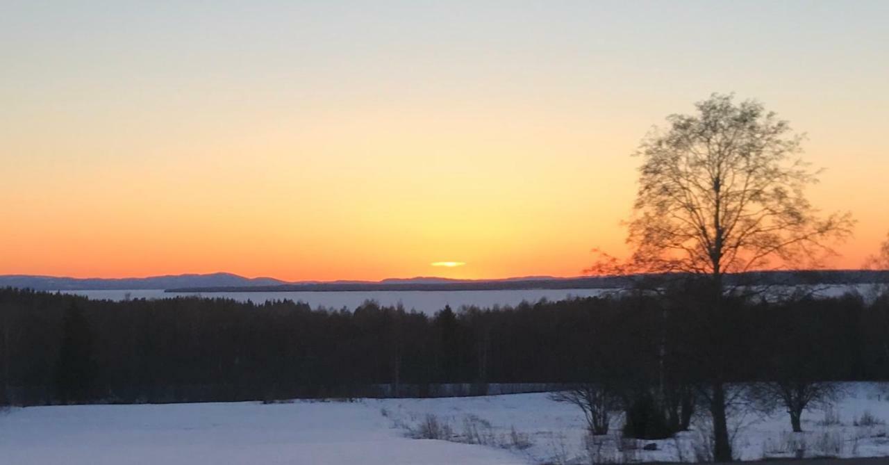 Det Gamla Panget * Tallberg